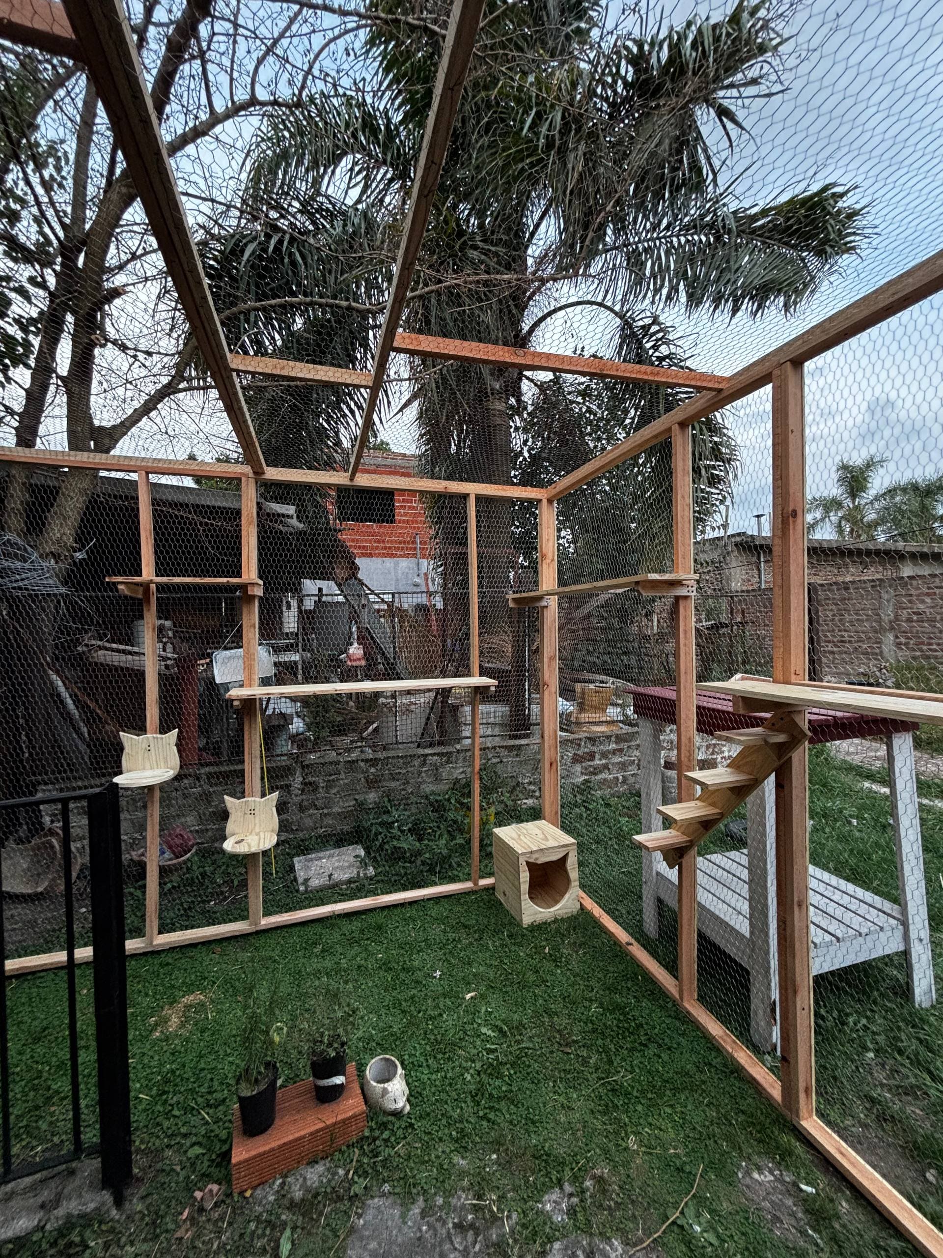 Proyecto de carpintería para mascotas 13