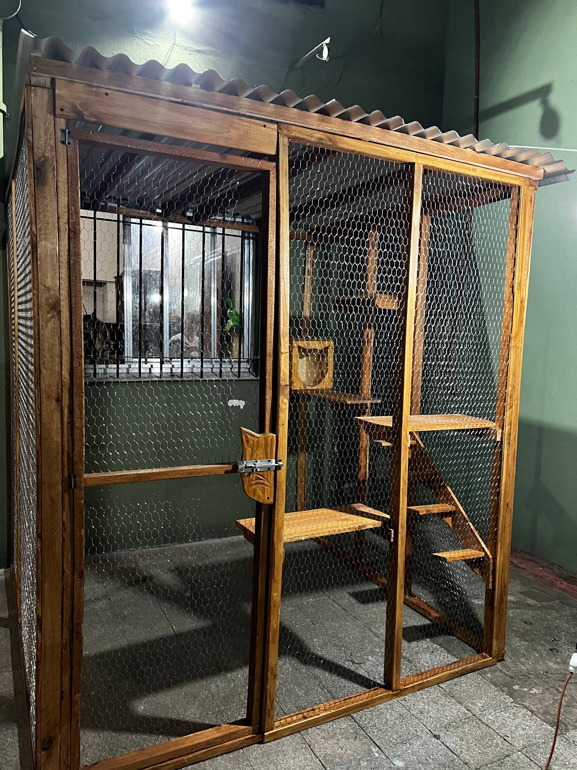 Proyecto de carpintería para mascotas 20