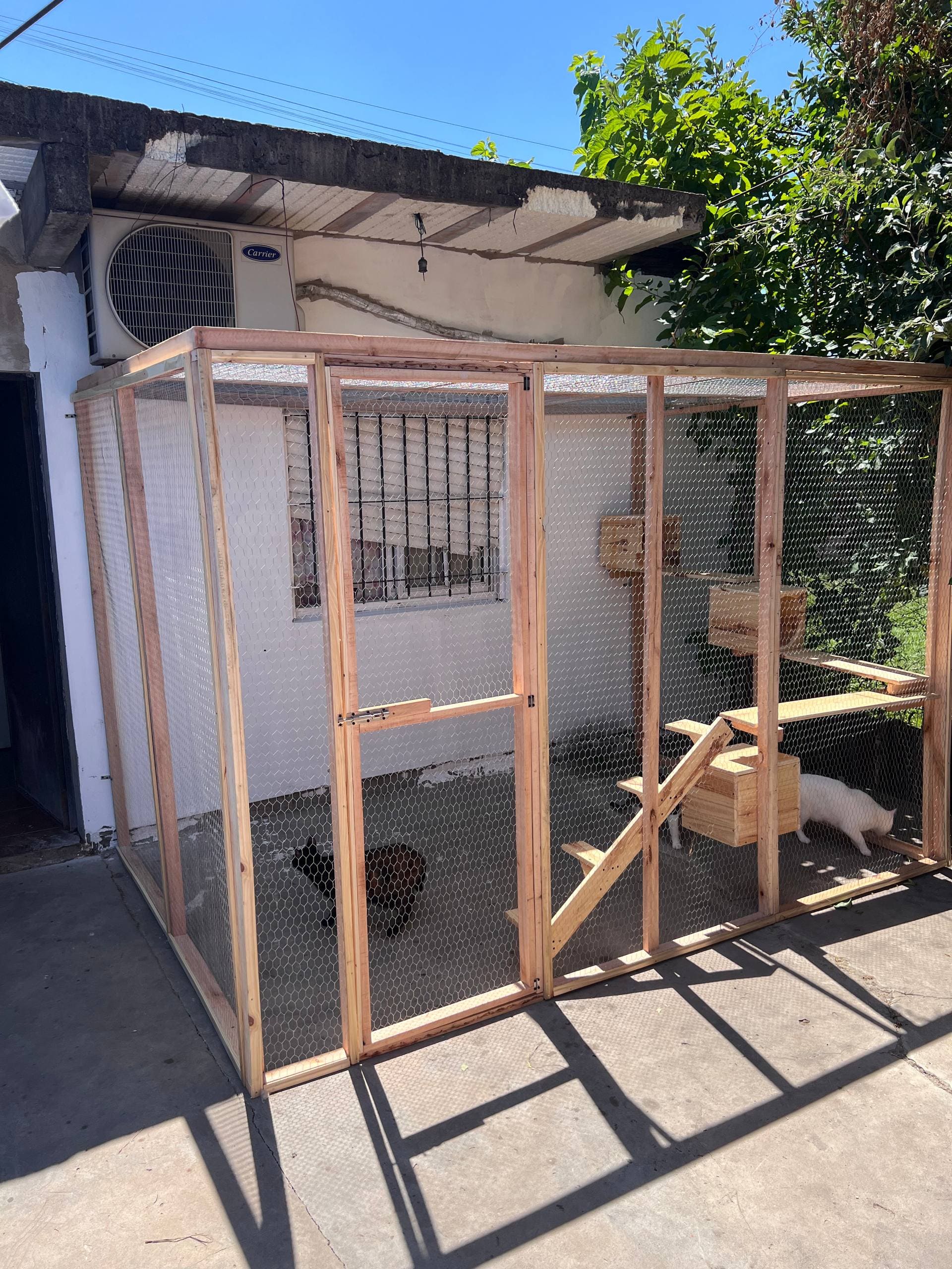 Proyecto de carpintería para mascotas 23